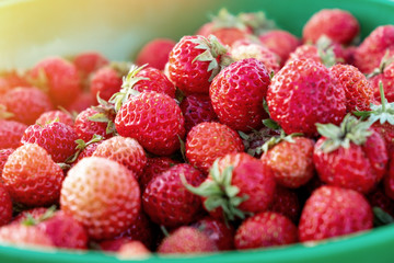 background from freshly harvested strawberries, directly above