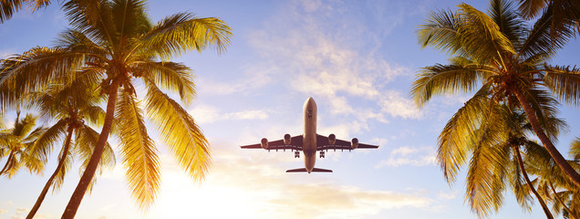 Coconut palms tree and airplane at sunset. Passenger plane above tropical island. Holidays concept.