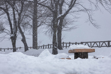 雪の降る風景