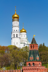Fototapeta na wymiar Ivan the Great Bell-Tower on the green hill against tower and wall of Moscow Kremlin in sunny spring morning