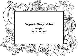 set of the different vegetables. Vintage hand drawn sketch style. Frames for decoration, menu. Ink, linear graphic, Engraved style