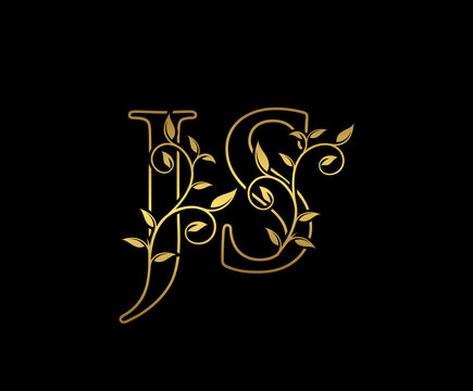 Classy letter J and S, JS  vintage decorative ornament emblem badge, overlapping monogram logo, elegant luxury gold color on black background.