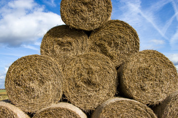 Cylindrical bales of hay against the blue sky. Autumn landscape. Harvested field. Harvesting animal feed. Harvesting.