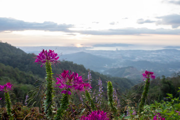 Scenic view of Kota Kinabalu landscape from a view Point, Sabah, Malaysia