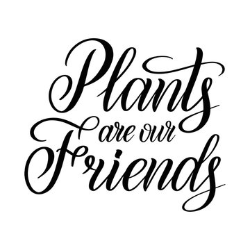 Plants are our friends. Eco graphic phrase. Vegetarian quote. Black isolated cursive. Calligraphic style. Hand writing script. Brush pen lettering. Vector clip art element.