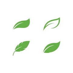 Green leaf logo