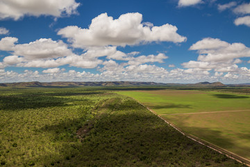 Fototapeta na wymiar Oblique aerial view of sandalwood plantation in the Ord River Irrigation scheme at Kununurra in the Kimberley