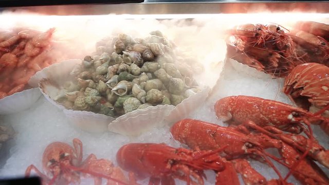 fresh seafood snails and crawfish and lobsters for sale at the market. Healthy mediterranean delicacy concept.