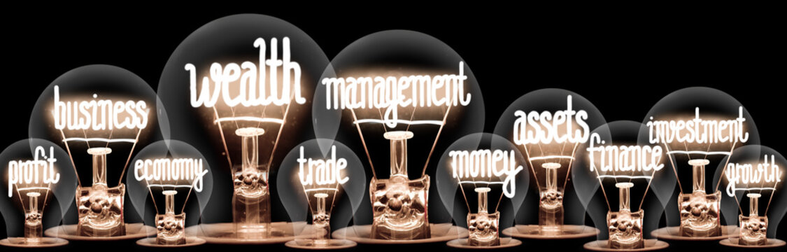 Light Bulbs with Wealth Management Concept