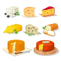 Big set with different types, assortment of cheeses hard, soft, with mold, spices, from milk of cow, sheep or goat, holed, smoked, brined, pickled. Vector cartoon realistic collection on white.