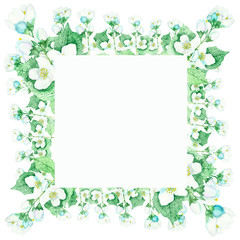 Watercolor hand painted nature romantic squared frame with white flowers and buds blossom jasmine and green leaves and branches on the white background for invitations and greeting cards