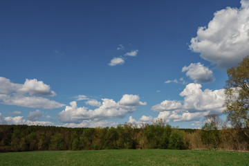 white clouds forming above a green forest and on a blue sky.