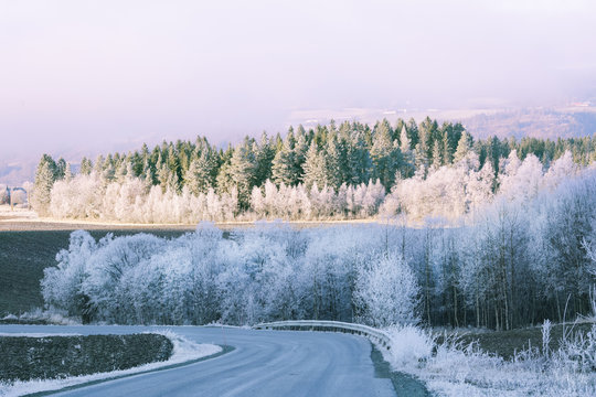 Frost