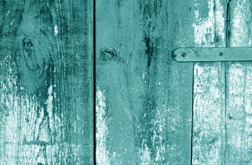 Grungy wooden planks background in cyan color.