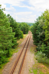 Obraz premium Aerial view of railroad track through a green pine forest