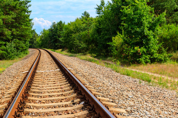 Obraz premium Railroad track through a green pine forest
