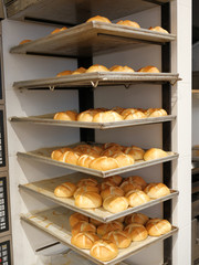 Modern bakery with different kinds of bread, cakes and buns