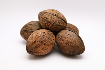 Cerbera odollam,pong pong seed