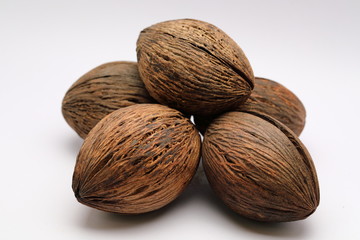 Cerbera odollam,pong pong seed