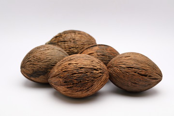 Cerbera odollam,pong pong seed