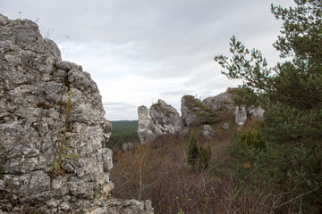 Vertical mountain landscape of limestone cliffs against a blue sky. The Zborow Massif in Central Poland on the Krakow-Czestochowa Upland