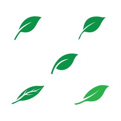 Green leaf logo