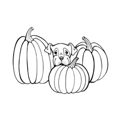 Dog with pumpkin. Coloring book page. Outlines Of Animals In Halloween Pumpkins