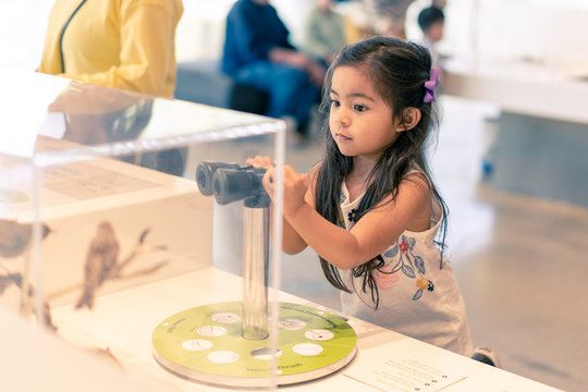 Young Girl in a Science Museum with Binoculars Learning About Birds