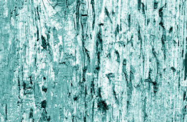Grunge weathered wooden plank surface in cyan tone.