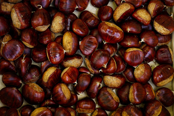 chestnuts on a background