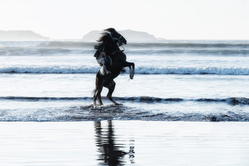 Horse rider at the beach.