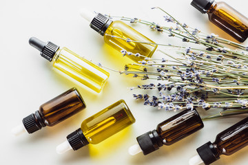 top view of dry lavender twigs with flowers and bottles with natural oil on white background