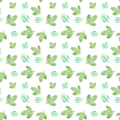 pattern with watercolor green leaves of different shapes on a white background. Great for textiles, packaging design, printing