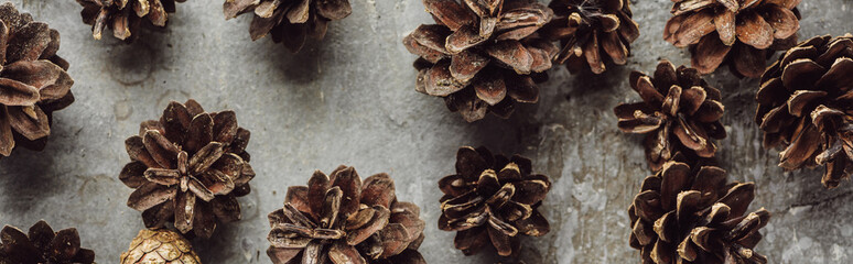 panoramic shot of dry spruce cones scattered on grey stone surface