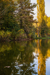 Fototapeta premium Autumn colors of Yellow orange and still a touch of green reflect in the mountain lake