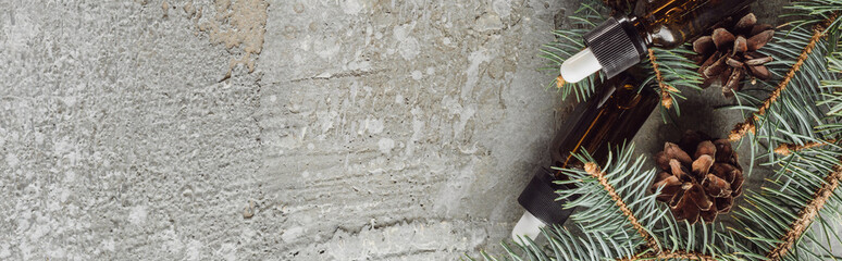 panoramic shot of bottles with natural oil near fir branches and dry cones on grey stone surface