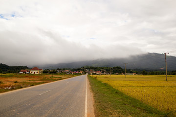 Fototapeta na wymiar toward road and rice field to mountain against cloudy sky