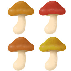 きのこ　キノコ　きのこセット