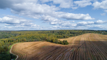 landscape aerial view summer day. beautiful image bird's-eye views of fields and forest and roads and settlements