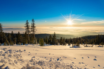 Abendliche Winterlandschaft auf dem Dreisesselberg in Bayern