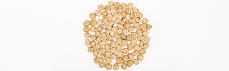 top view of hazelnut scattered isolated on white, panoramic shot