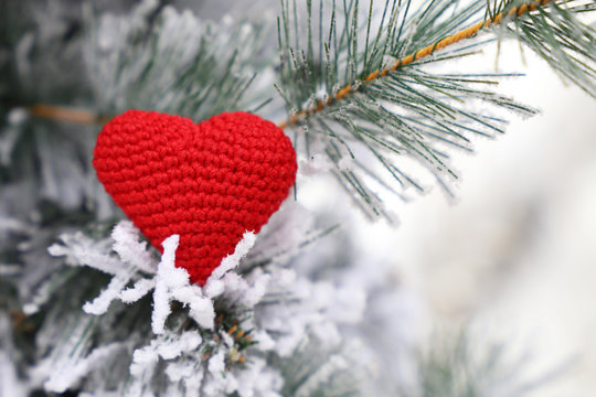 Christmas heart, red knitted symbol of love in the snow on fir branches. Background for romantic card, New Year celebration, Valentine's day or winter weather