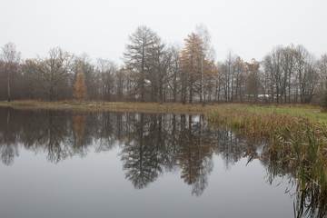 Autumn panorama of the pond in the Park with oaks. Smolensk region, Russia.