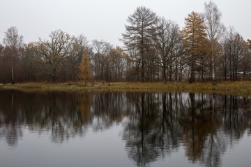 Fototapeta na wymiar Autumn panorama of the pond in the Park with oaks. Smolensk region, Russia.