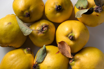 Quinces isolated on white background