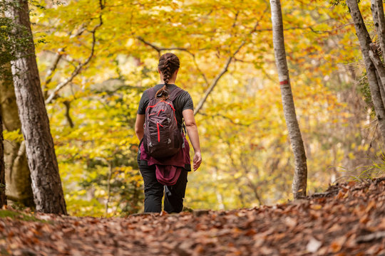 Mujer paseando y disfrutando del otoño