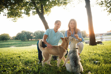 Obraz premium couple in love and dogs.family walk with dogs