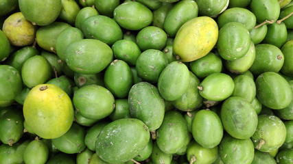 Green hog plum fruit