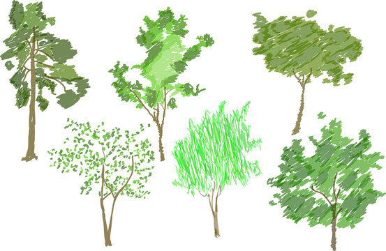 sx green colored tree sketches on white