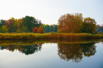 beautiful lakeside with trees and refelctions in autumn